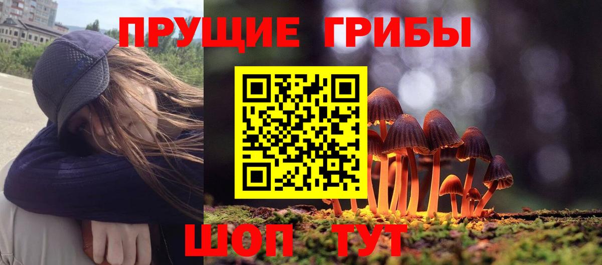 Псилоцибиновые грибы мицелий Кстово