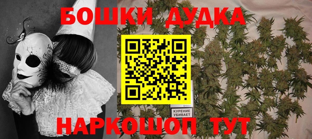 Конопля Bruce Banner  Канабис планчик  Кстово  Марихуана ГИДРОПОН  Вход с VPN 